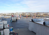 February 7 Building progress photo 3