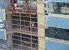 Building Update photo 3