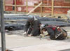 jan Building Update photo 5