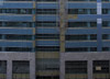 January 4 Building progress 4